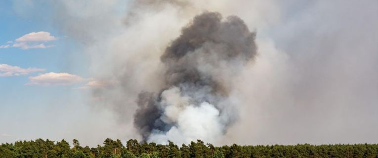 Communiqué de presse - Prévention des feux de forêts : nouvelles mesures d’interdictions à compter du 26 juillet dans le Bas-Rhin