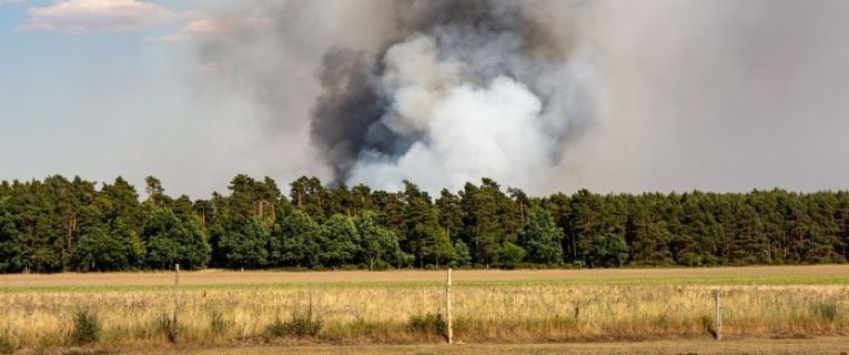 Communiqué de presse - Prévention des feux de forêts dans le département du Bas-Rhin