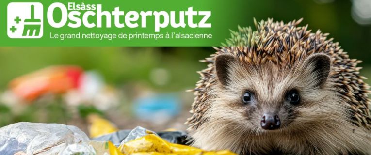 Elsàss Oschterputz 