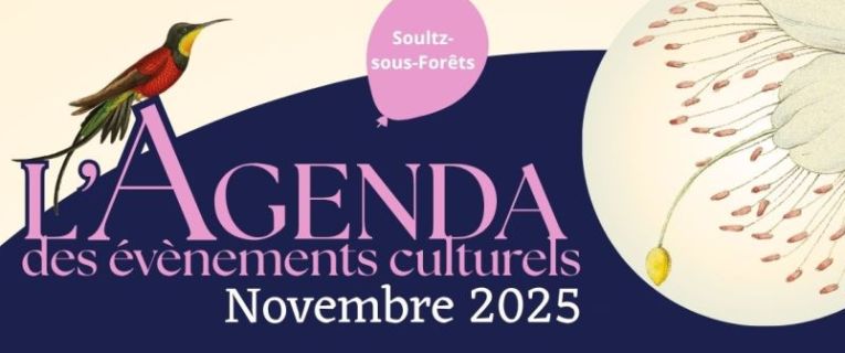 Agenda des évènements culturels du mois de Novembre