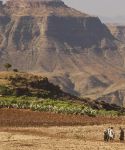 Ciné-conférence : Ethiopie